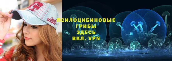 сатива Кукмор