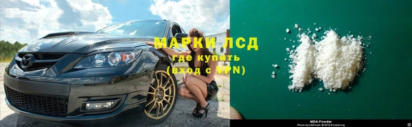 ГАЛЛЮЦИНОГЕННЫЕ ГРИБЫ Кулебаки
