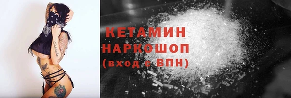 сатива Кукмор