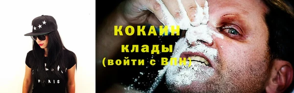сатива Кукмор