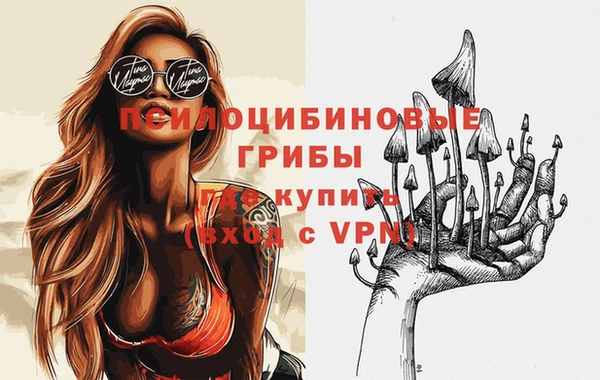 сатива Кукмор