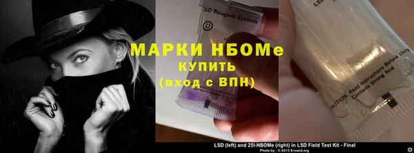 сатива Кукмор