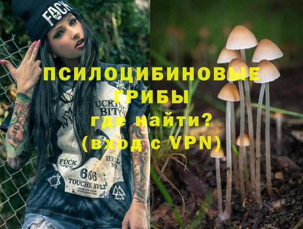 ГАЛЛЮЦИНОГЕННЫЕ ГРИБЫ Кулебаки