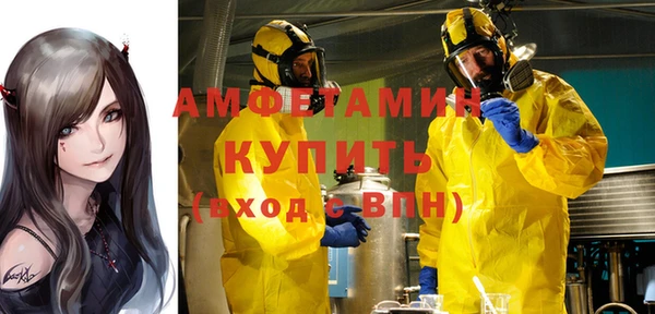 сатива Кукмор
