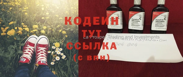 ГАЛЛЮЦИНОГЕННЫЕ ГРИБЫ Кулебаки
