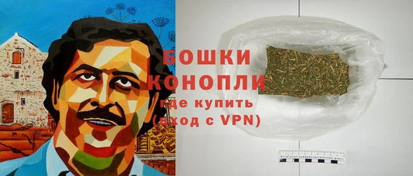 ГАЛЛЮЦИНОГЕННЫЕ ГРИБЫ Кулебаки